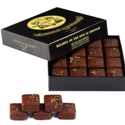 Hot MARIAGE FRÈRES CHOCOLAT des MANDARINS