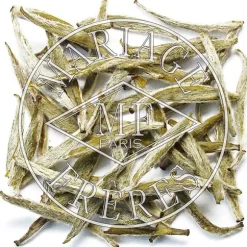New MARIAGE FRÈRES YIN ZHEN